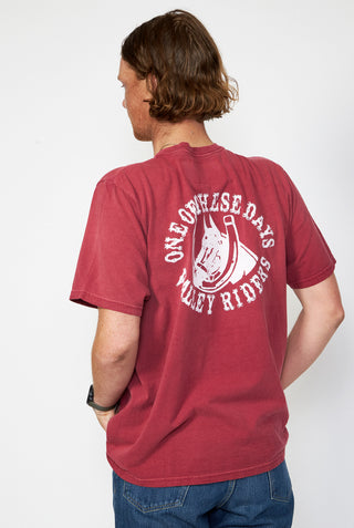 ONE OF THESE DAYS Valley Riders Tee